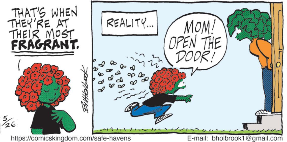 Graphic design OCR: THAT'S WHEN THEY'RE AT THEIR MOST FRAGRANT Billttalbrook REALITY... 3/26 https://comicskingdom.com/safe-havens MOM! OPEN THE DOOR! E-mail: bholbrook1@gmail.com 0 THAT'S WHEN THEY'RE AT THEIR MOST FRAGRANT Billttalbrook REALITY ... 3/26 https://comicskingdom.com/safe-havens MOM ! OPEN THE DOOR ! E - mail : bholbrook1@gmail.com 0