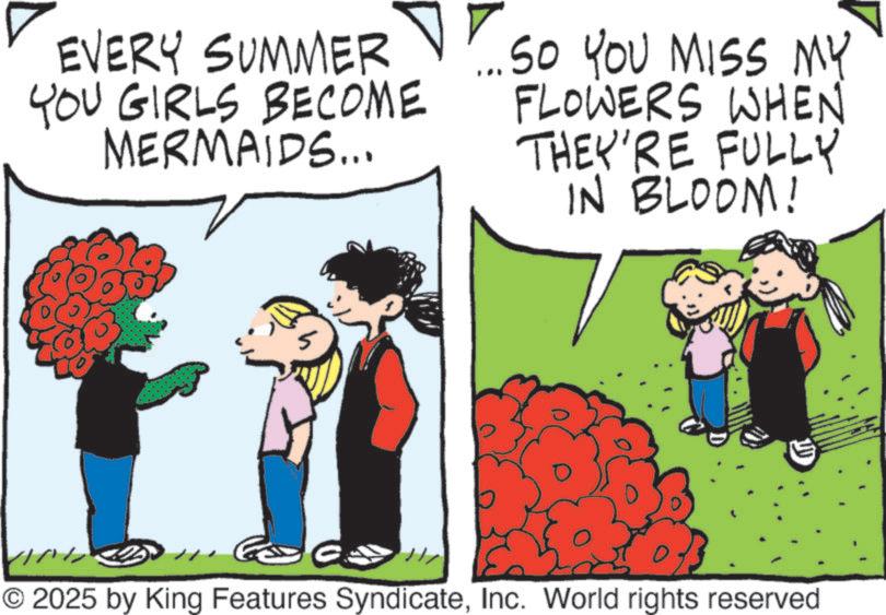 Animation OCR: EVERY SUMMER YOU GIRLS BECOME MERMAIDS... ? SO YOU MISS MY FLOWERS WHEN THEY'RE FULLY IN BLOOM! © 2025 by King Features SyndicateInc. World rights reserved EVERY SUMMER YOU GIRLS BECOME MERMAIDS ... ? SO YOU MISS MY FLOWERS WHEN THEY'RE FULLY IN BLOOM ! © 2025 by King Features SyndicateInc. World rights reserved