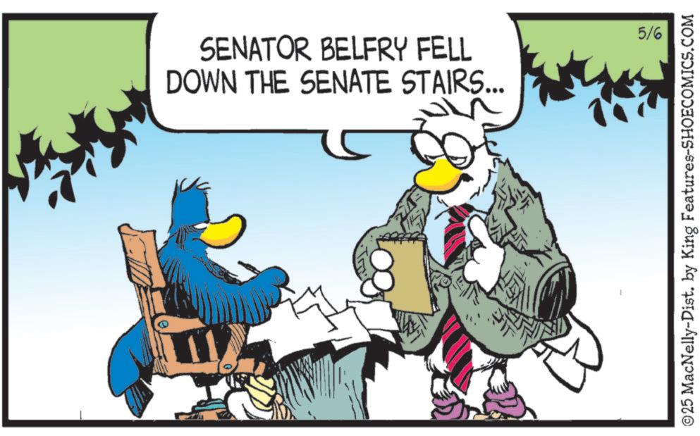 Fictional character OCR: SENATOR BELFRY FELL DOWN THE SENATE STAIRS... 5/6 ©25 MacNelly-Dist. by King Features-SHOECOMICS.COM SENATOR BELFRY FELL DOWN THE SENATE STAIRS ... 5/6 © 25 MacNelly - Dist . by King Features-SHOECOMICS.COM