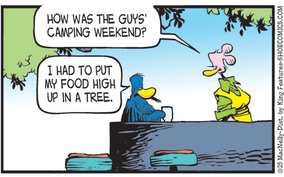 Bird OCR: HOW WAS THE GUYS' CAMPING WEEKEND? I HAD TO PUT MY FOOD HIGH UP IN A TREE. ©25 MacNelly-Dist. by King Features-SHOECOMICS.COM HOW WAS THE GUYS ' CAMPING WEEKEND ? I HAD TO PUT MY FOOD HIGH UP IN A TREE . © 25 MacNelly - Dist . by King Features-SHOECOMICS.COM