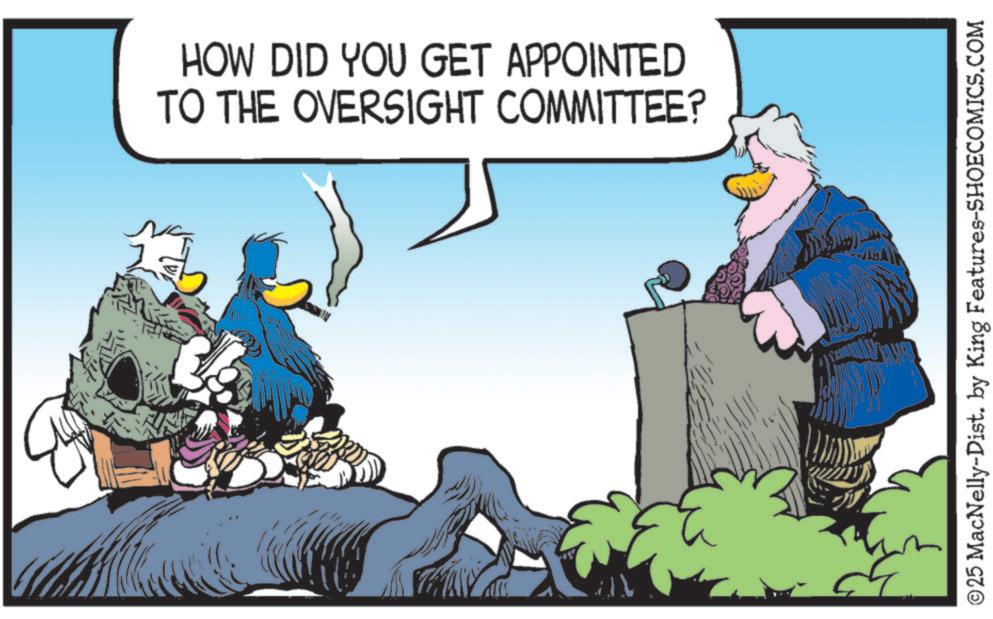 Comics OCR: HOW DID YOU GET APPOINTED TO THE OVERSIGHT COMMITTEE? ©25 MacNelly-Dist. by King Features-SHOECOMICS.COM HOW DID YOU GET APPOINTED TO THE OVERSIGHT COMMITTEE ? © 25 MacNelly - Dist . by King Features-SHOECOMICS.COM