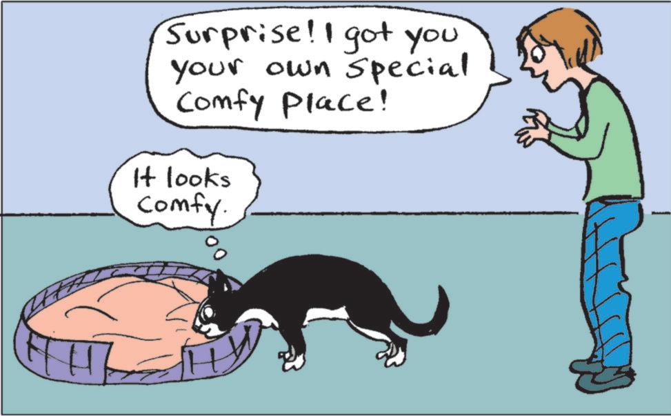 Photo caption OCR: Surprise! I got you your own special Comfy Place! It looks comfy Surprise ! I got you your own special Comfy Place ! It looks comfy