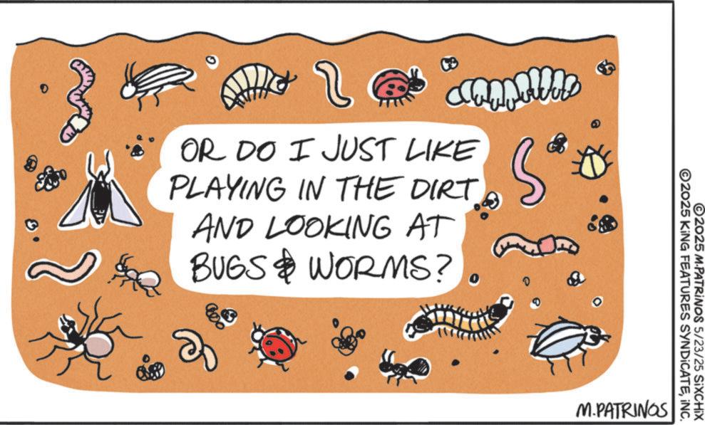 Handwriting OCR: ? Campelles OR DO I JUST LIKE PLAYING IN THE DIRT AND LOOKING AT BUGS & WORMS? Co ©2025 KING FEATURES SYNDICATEINC. ©2025 M-PATRINOS 5/23/25 SiXCHIX M.PATRINGS ? Campelles OR DO I JUST LIKE PLAYING IN THE DIRT AND LOOKING AT BUGS & WORMS ? Co © 2025 KING FEATURES SYNDICATEINC . © 2025 M - PATRINOS 5/23/25 SiXCHIX M.PATRINGS