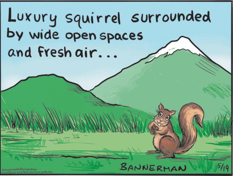 Gopher OCR: Luxury squirrel surrounded by wide open spaces and fresh air... Ozozs IsabellaBannerman BANNERMAN 5/9 sixcureOzezs king Features SyndicateInc. Luxury squirrel surrounded by wide open spaces and fresh air ... Ozozs IsabellaBannerman BANNERMAN 5/9 sixcureOzezs king Features Syndicate