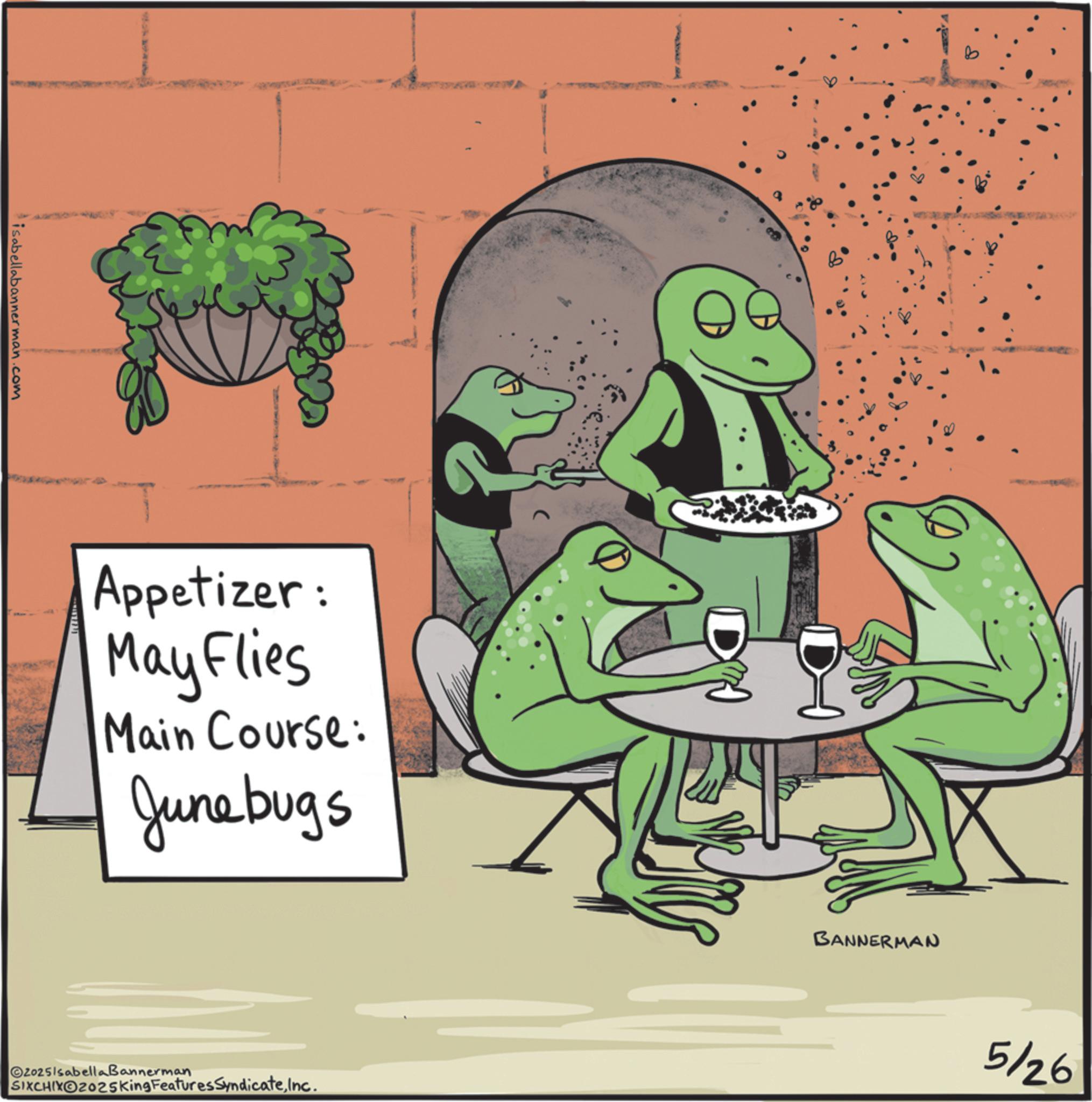 Toad OCR: isabellabannerman.com Appetizer: May Flies Main Course: Junebugs 20251sabella Bannerman SIXCHIXO2025King Features SyndicateInc. BANNERMAN 5126 isabellabannerman.com Appetizer : May Flies Main Course : Junebugs 20251sabella Bannerman SIXCHIXO2025King Features SyndicateInc. BANNERMAN 5126