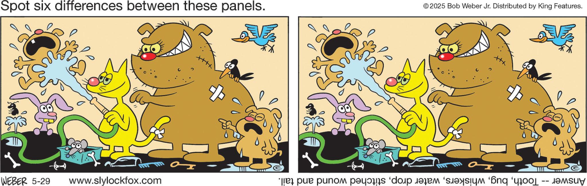 Humour OCR: Spot six differences between these panels. + © 2025 Bob Weber Jr. Distributed by King Features. H + WEBER 5-29 www.slylockfox.com Answer -- Toothstitched wound and tail. Spot six differences between these panels . + © 2025 Bob Weber Jr. Distributed by King Features . H + WEBER 5-29 www.slylockfox.com Answer -- Toothwater dropstitched wound and tail .