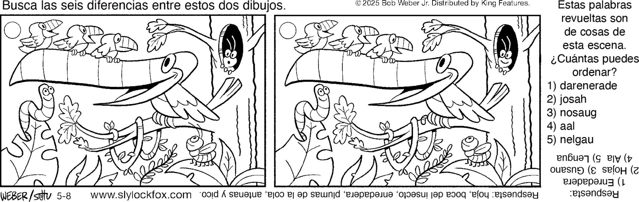 Tail OCR: Busca las seis diferencias entre estos dos dibujos. WEBER/Set 5-8 © 2025 Bob Weber Jr. Distributed by King Features. Estas palabras revueltas son de cosas de esta escena. ¿Cuántas puedes ordenar? 1) darenerade 2) josah 3) nosaug 4) aal 5) nelgau T 2) Hojas 3) Gusano 1) Enredadera Respuesta: Respuesta: hojaantenas y pico. 4) Ala 5) Lengua Busca las seis diferencias entre estos dos dibujos . WEBER / Set 5-8 © 2025 Bob Weber Jr. Distributed by King Features . Estas palabras revueltas son de cosas de esta escena . ¿ Cuántas puedes ordenar ? 1 ) darenerade 2 ) josah 3 ) nosaug 4 ) aal 5 ) nelgau T 2 ) Hojas 3 ) Gusano 1 ) Enredadera Respuesta : Respuesta : hojaboca del insectoplumas de la colaantenas y pico . 4 ) Ala 5 ) Lengua