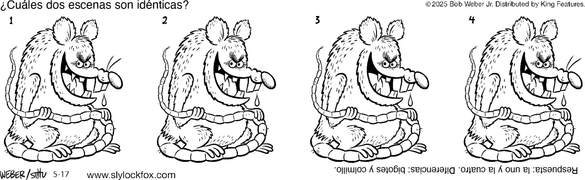 Coloring book OCR: ¿Cuáles dos escenas son idénticas? 1 2 3 WEBER/Settu 5-17 www.slylockfox.com © 2025 Bob Weber Jr. Distributed by King Features. 4 Respuesta: la uno y la cuatro. Diferencias: bigotes y colmillo. ¿ Cuáles dos escenas son idénticas ? 1 2 3 WEBER / Settu 5-17 www.slylockfox.com © 2025 Bob Weber Jr. Distributed by King Features . 4 Respuesta : la uno y la cuatro . Diferencias : bigotes y colmillo .