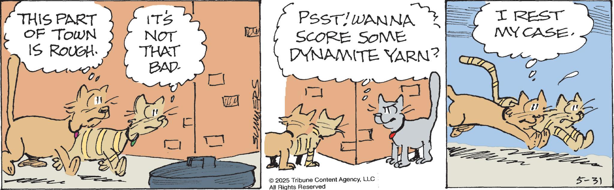 Comics OCR: THIS PART OF TOWN IT'S NOT IS ROUGH. THAT ?? BAD wy SUMMERS PSSTWANNA SCORE SOME DYNAMITE YARN? I REST MY CASE. © 2025 Tribune Content AgencyLLC All Rights Reserved 5-31 THIS PART OF TOWN IT'S NOT IS ROUGH . THAT ?? BAD wy SUMMERS PSSTWANNA SCORE SOME DYNAMITE YARN ? I REST MY CASE . © 2025 Tribune Content AgencyLLC All Rights Reserved 5-31