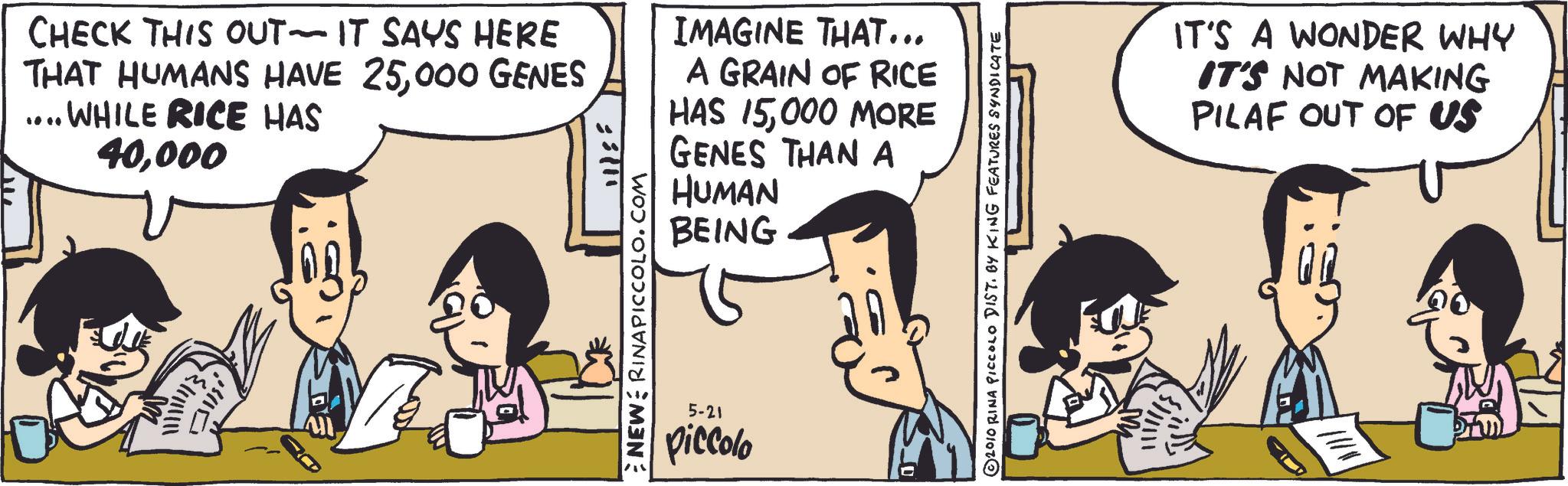 Animated cartoon OCR: CHECK THIS OUT-IT SAYS HERE THAT HUMANS HAVE 25000 GENES .... WHILE RICE HAS 40000 {l NEW RINAPICCOLO.COM IMAGINE THAT... A GRAIN OF RICE HAS 15000 MORE GENES THAN A HUMAN BEING 5-21 piccolo © 2010 RINA PICCOLO DIST. BY KING FEATURES SYNDICATE m IT'S A WONDER WHY IT'S NOT MAKING PILAF OUT OF US CHECK THIS OUT - IT SAYS HERE THAT HUMANS HAVE 25000 GENES .... WHILE RICE HAS 40000 { l NEW RINAPICCOLO.COM IMAGINE THAT ... A GRAIN OF RICE HAS 15000 MORE GENES THAN A HUMAN BEING 5-21 piccolo © 2010 RINA PICCOLO DIST . BY KING FEATURES SYNDICATE m IT'S A WONDER WHY IT'S NOT MAKING PILAF OUT OF US