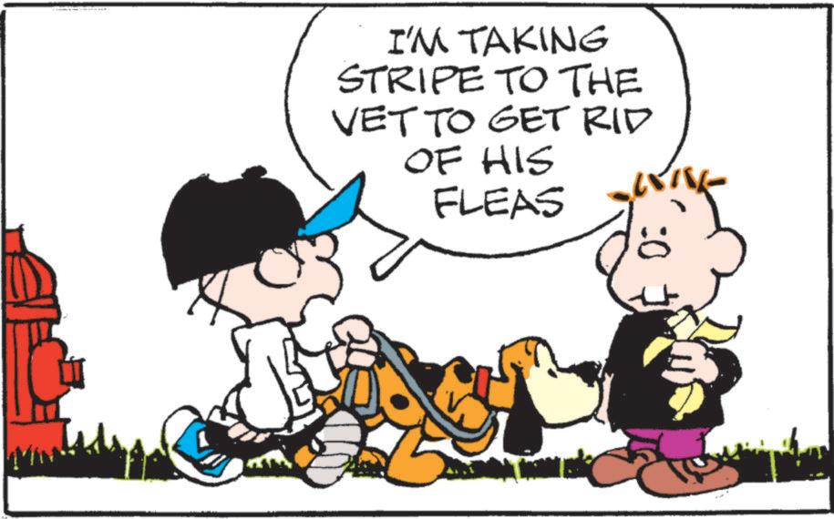 Pleased OCR: I'M TAKING STRIPE TO THE VET TO GET RID OF HIS FLEAS 0: I'M TAKING STRIPE TO THE VET TO GET RID OF HIS FLEAS 0 :