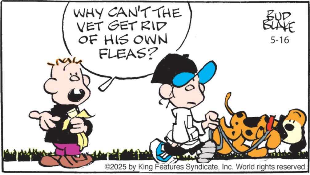 Illustration OCR: WHY CAN'T THE VET GET RID OF HIS OWN FLEAS? BUD BLAKE 5-16 ©2025 by King Features SyndicateInc. World rights reserved. WHY CAN'T THE VET GET RID OF HIS OWN FLEAS ? BUD BLAKE 5-16 © 2025 by King Features SyndicateInc. World rights reserved .