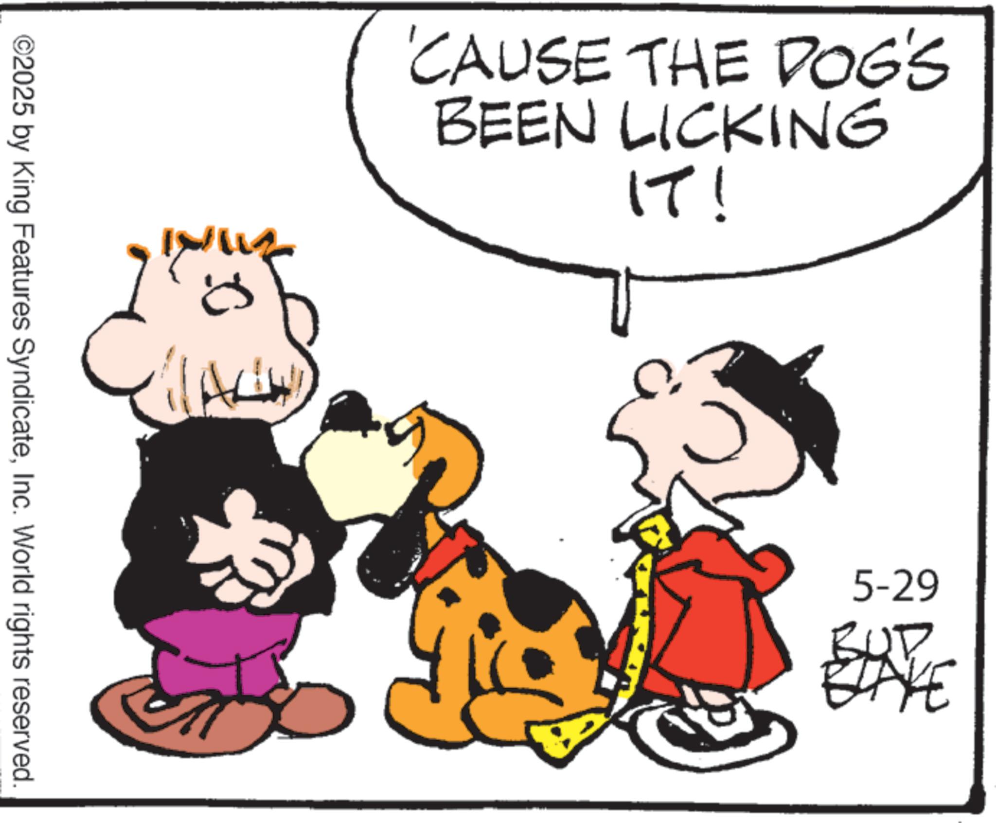 Fictional character OCR: 'CAUSE THE DOG'S BEEN LICKING IT! MAI ©2025 by King Features SyndicateInc. World rights reserved. 5-29 BLAKE ' CAUSE THE DOG'S BEEN LICKING IT ! MAI © 2025 by King Features SyndicateInc. World rights reserved . 5-29 BLAKE