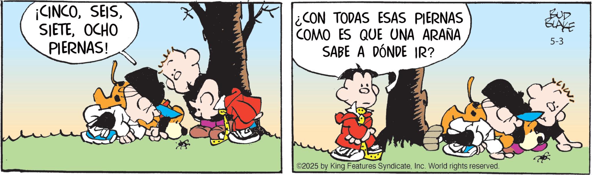 Conversation OCR: ¡CINCOOCHO PIERNAS! CON TODAS ESAS PIERNAS COMO ES QUE UNA ARAÑA SABE A DÓNDE IR? BUD BLAKE 5-3 ©2025 by King Features SyndicateInc. World rights reserved. ¡ CINCOOCHO PIERNAS ! CON TODAS ESAS PIERNAS COMO ES QUE UNA ARAÑA SABE A DÓNDE IR ? BUD BLAKE 5-3 © 2025 by King Features SyndicateInc. World rights reserved .