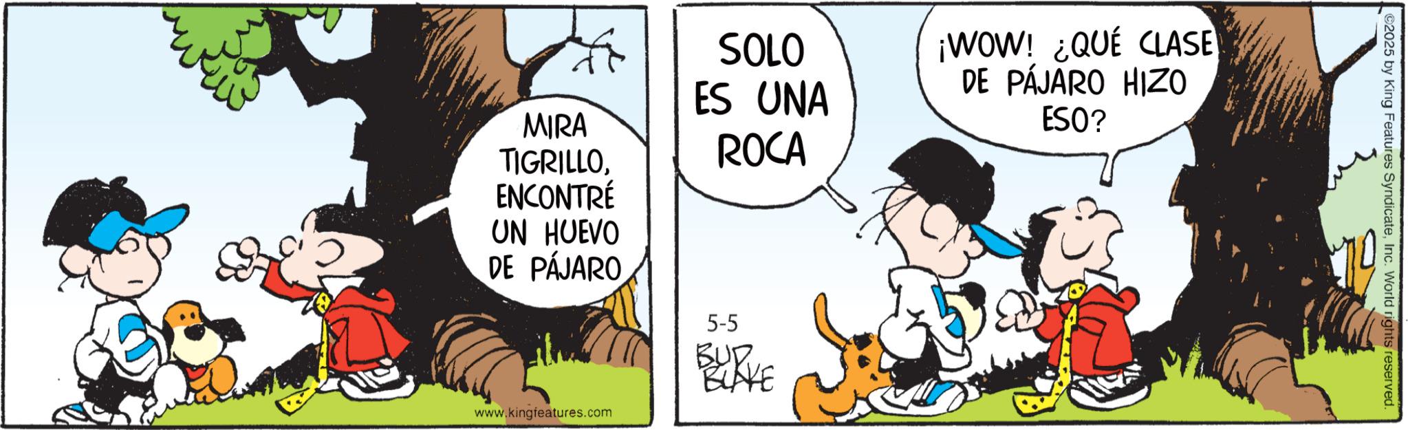 Gesture OCR: MIRA TIGRILLOENCONTRÉ UN HUEVO DE PÁJARO SOLO ES UNA ROCA ¡WOW! ¿QUÉ CLASE DE PÁJARO HIZO ESO? www.kingfeatures.com 5-5 BUD... BLAKE C2025 by King Features SyndicateInc. World rights reserved. MIRA TIGRILLOENCONTRÉ UN HUEVO DE PÁJARO SOLO ES UNA ROCA ¡ WOW ! ¿ QUÉ CLASE DE PÁJARO HIZO ESO ? www.kingfeatures.com 5-5 BUD ... BLAKE C2025 by King Features SyndicateInc. World rights reserved .