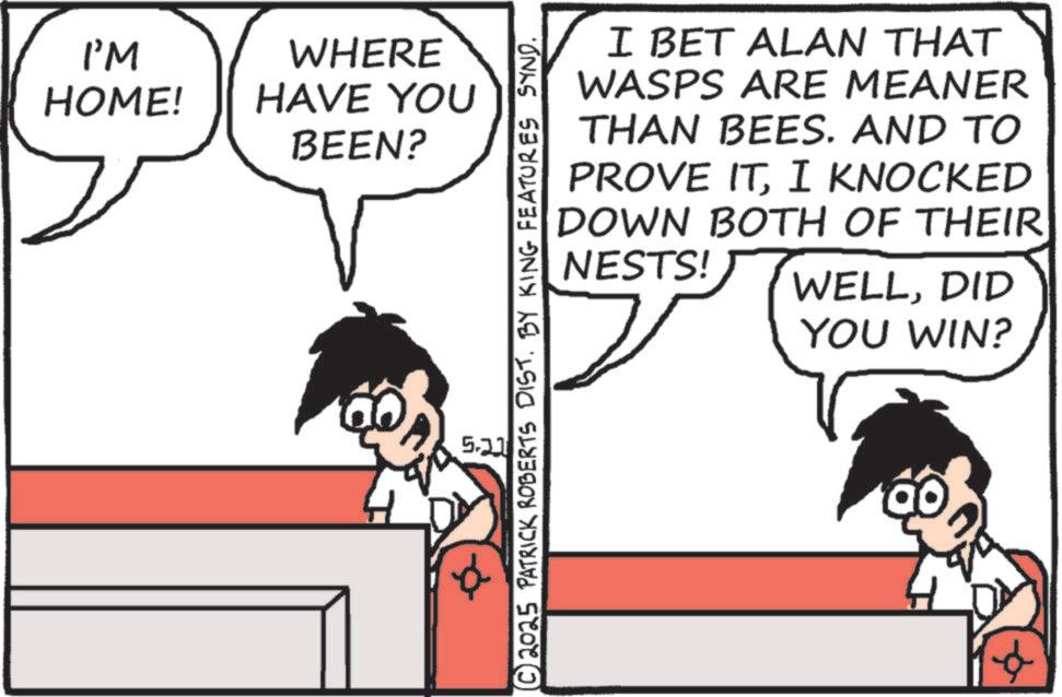 Photo caption OCR: I'M HOME! WHERE HAVE YOU BEEN? © 2025 PATRICK ROBERTS DIST. BY KING FEATURES SYND. 5.2 I BET ALAN THAT WASPS ARE MEANER THAN BEES. AND TO PROVE ITI KNOCKED DOWN BOTH OF THEIR NESTS! WELLDID YOU WIN? I'M HOME ! WHERE HAVE YOU BEEN ? © 2025 PATRICK ROBERTS DIST . BY KING FEATURES SYND . 5.2 I BET ALAN THAT WASPS ARE MEANER THAN BEES . AND TO PROVE ITI KNOCKED DOWN BOTH OF THEIR NESTS ! WELLDID YOU WIN ?