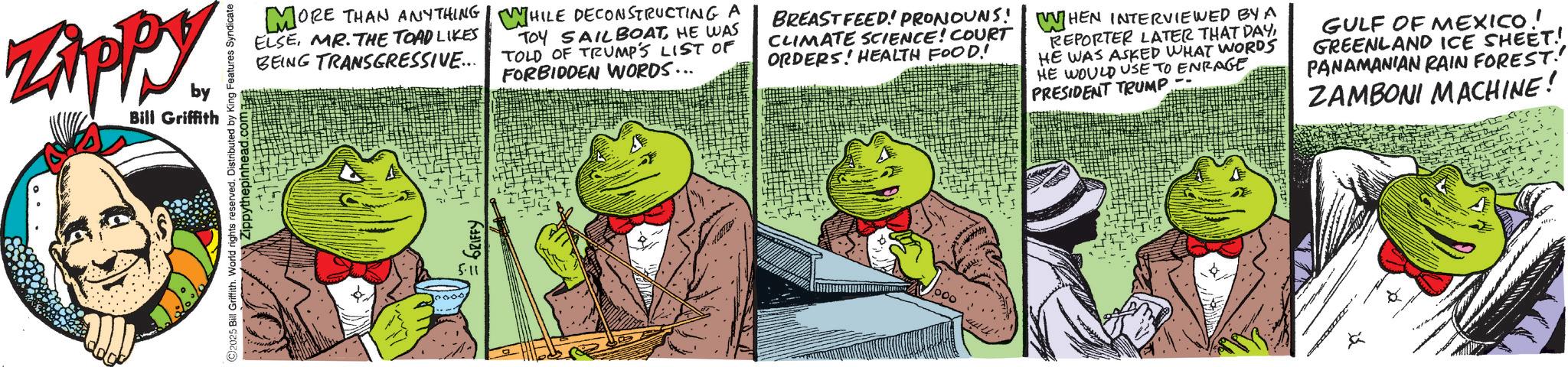 Fictional character OCR: Zippy. by Bill Griffith ©2025 Bill Griffith. World rights reserved. Distributed by Ki Zippythepinhead.com? Features Syndicate MORE THAN ANYTHING ELSE. MR. THE TOAD LIKES BEING TRANSGRESSIVE... WHILE DECONSTRUCTING A TOY SAILBOATHE WAS TOLD OF TRUMP'S LIST OF FORBIDDEN WORDS... BREASTFEED! PRONOUNS! CLIMATE SCIENCE! COURT ORDERS! HEALTH FOOD! WHEN INTERVIEWED BY A REPORTER LATER THAT DAYHE WAS ASKED WHAT WORDS HE WOULD USE TO ENRAGE PRESIDENT TRUMP GULF OF MEXICO GREENLAND ICE SHEET! PANAMANIAN RAIN FOREST! ZAMBONI MACHINE! 5.11 4 Zippy . by Bill Griffith © 2025 Bill Griffith . World rights reserved . Distributed by Ki Zippythepinhead.com? Features Syndicate MORE THAN ANYTHING ELSE . MR . THE TOAD LIKES BEING TRANSGRESSIVE ... WHILE DECONSTRUCTING A TOY SAILBOATHE WAS TOLD OF TRUMP'S LIST OF FORBIDDEN WORDS ... BREASTFEED ! PRONOUNS ! CLIMATE SCIENCE ! COURT ORDERS ! HEALTH FOOD ! WHEN INTERVIEWED BY A REPORTER LATER THAT DAYHE WAS ASKED WHAT WORDS HE WOULD USE TO ENRAGE PRESIDENT TRUMP GULF OF MEXICO GREENLAND ICE SHEET ! PANAMANIAN RAIN FOREST ! ZAMBONI MACHINE ! 5.11 4
