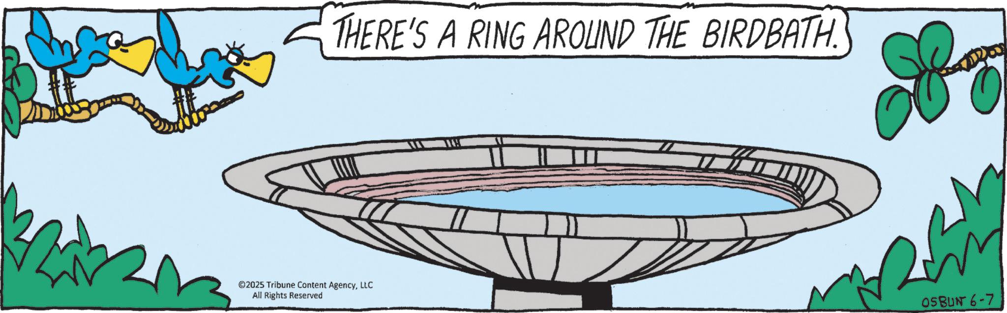 OCR: THERE'S A RING AROUND THE BIRDBATH. ©2025 Tribune Content AgencyLLC All Rights Reserved 8 OSBUN 6-7 THERE'S A RING AROUND THE BIRDBATH . © 2025 Tribune Content AgencyLLC All Rights Reserved 8 OSBUN 6-7