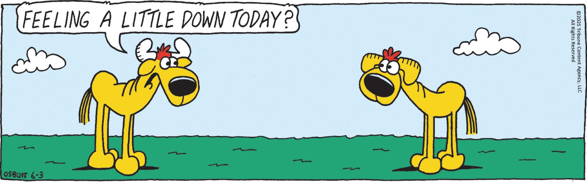 Graphics OCR: FEELING A LITTLE DOWN TODAY? OSBUN 6-3 2025 Tribune Content AgencyLLC All Rights Reserved FEELING A LITTLE DOWN TODAY ? OSBUN 6-3 2025 Tribune Content AgencyLLC All Rights Reserved