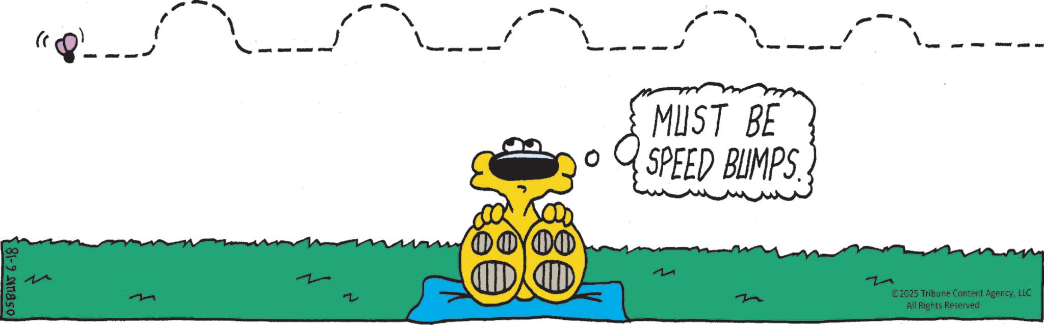Clip art OCR: 81-9 naso _ 2 M MUST BE SPEED BUMPS ©2025 Tribune Content AgencyLLC All Rights Reserved 81-9 naso _ 2 M MUST BE SPEED BUMPS © 2025 Tribune Content AgencyLLC All Rights Reserved
