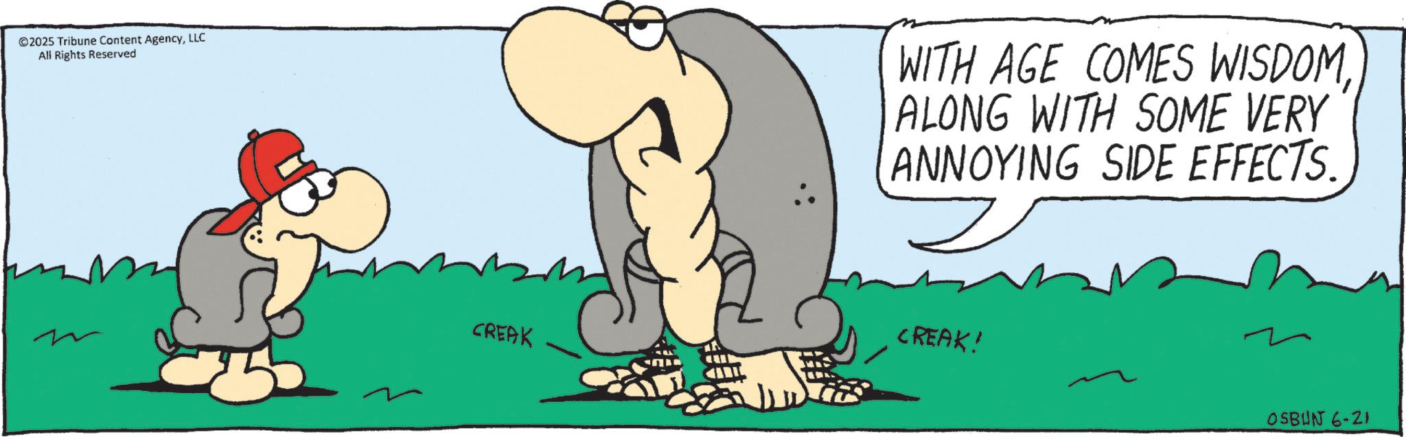 Fiction OCR: 2025 Tribune Content AgencyLLC All Rights Reserved WITH AGE COMES WISDOMALONG WITH SOME VERY ANNOYING SIDE EFFECTS. CREAK CREAK! OSBUN 6-21 2025 Tribune Content AgencyLLC All Rights Reserved WITH AGE COMES WISDOMALONG WITH SOME VERY ANNOYING SIDE EFFECTS . CREAK CREAK ! OSBUN 6-21