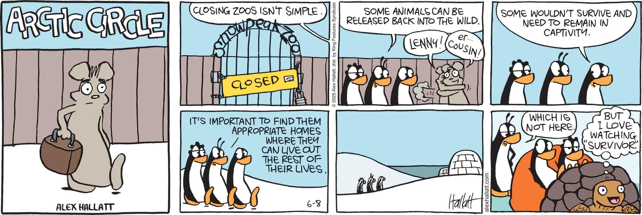 Animated cartoon OCR: ARCTIC CRCLE CLOSING ZOOS ISN'T SIMPLE. ALEX HALLATT CLOSED IT'S IMPORTANT TO FIND THEM APPROPRIATE HOMES WHERE THEY CAN LIVE OUT THE REST OF THEIR LIVES. 2025 Alex Hallattdist. by King Features Syndicate SOME ANIMALS CAN BE RELEASED BACK INTO THE WILD. er... LENNY! COUSIN SOME WOULDN'T SURVIVE AND NEED TO REMAIN IN CAPTIVITY. 6-8 Hallatt alexhallatt.com WHICH IS NOT HERE. BUT I LOVE WATCHING "SURVIVOR ARCTIC CRCLE CLOSING ZOOS ISN'T SIMPLE . ALEX HALLATT CLOSED IT'S IMPORTANT TO FIND THEM APPROPRIATE HOMES WHERE THEY CAN LIVE OUT THE REST OF THEIR LIVES . 2025 Alex Hallattdist . by King Features Syndicate SOME ANIMALS CAN BE RELEASED BACK INTO THE WILD . er ... LENNY ! COUSIN SOME WOULDN'T SURVIVE AND NEED TO REMAIN IN CAPTIVITY . 6-8 Hallatt alexhallatt.com WHICH IS NOT HERE . BUT I LOVE WATCHING " SURVIVOR