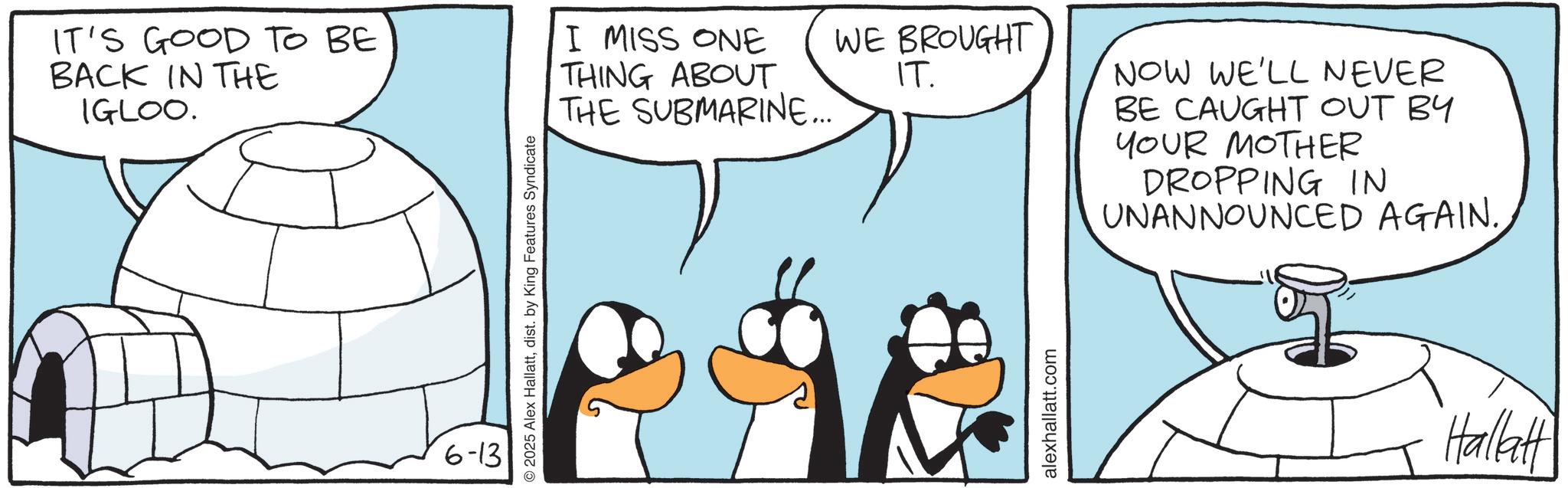 Bird OCR: IT'S GOOD TO BE BACK IN THE IGLOO. 6-13 © 2025 Alex Hallattdist. by King Features Syndicate I MISS ONE THING ABOUT THE SUBMARINE.... WE BROUGHT IT. alexhallatt.com NOW WE'LL NEVER BE CAUGHT OUT BY YOUR MOTHER DROPPING IN UNANNOUNCED AGAIN. Hallatt IT'S GOOD TO BE BACK IN THE IGLOO . 6-13 © 2025 Alex Hallattdist . by King Features Syndicate I MISS ONE THING ABOUT THE SUBMARINE .... WE BROUGHT IT . alexhallatt.com NOW WE'LL NEVER BE CAUGHT OUT BY YOUR MOTHER DROPPING IN UNANNOUNCED AGAIN . Hallatt
