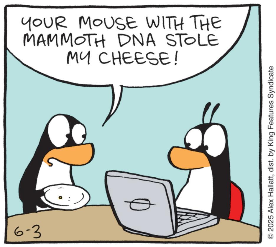 Graphics OCR: 6-3 YOUR MOUSE WITH THE MAMMOTH DNA STOLE MY CHEESE! O2025 Alex Hallattdist. by King Features Syndicate 6-3 YOUR MOUSE WITH THE MAMMOTH DNA STOLE MY CHEESE ! O2025 Alex Hallattdist . by King Features Syndicate