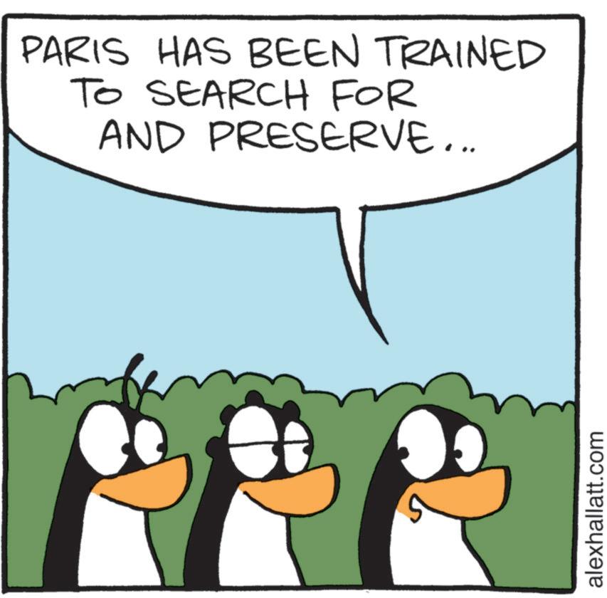 Penguin OCR: PARIS HAS BEEN TRAINED TO SEARCH FOR AND PRESERVE... alexhallatt.com PARIS HAS BEEN TRAINED TO SEARCH FOR AND PRESERVE ... alexhallatt.com