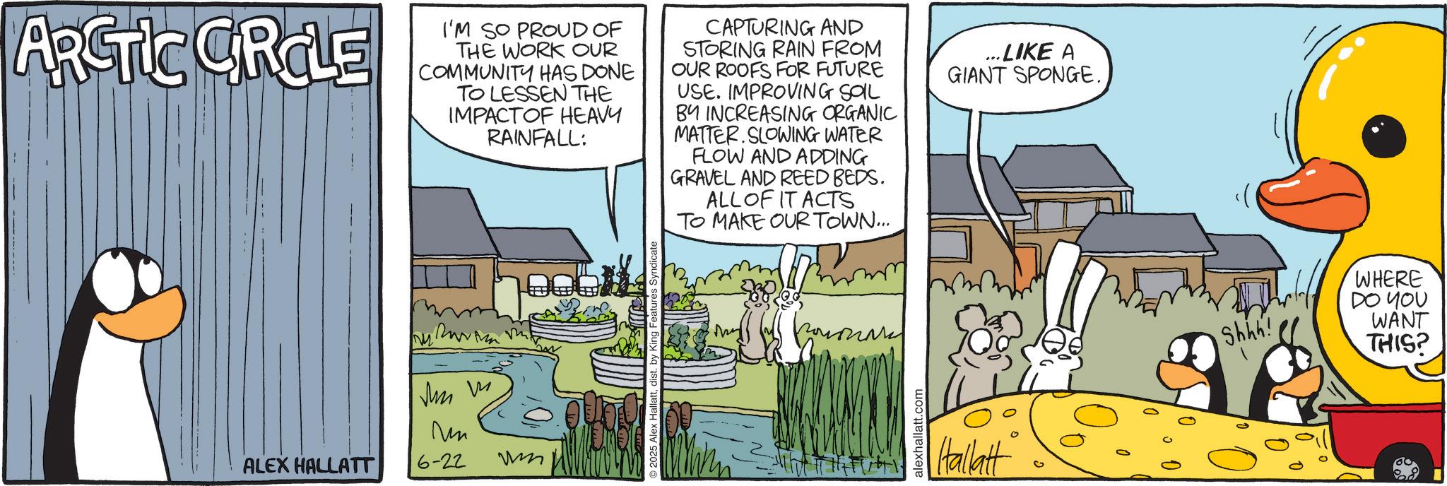 Fiction OCR: ARCTIC CIRCLE I'M SO PROUD OF THE WORK OUR COMMUNITY HAS DONE TO LESSEN THE IMPACTOF HEAVY RAINFALL: CAPTURING AND STORING RAIN FROM OUR ROOFS FOR FUTURE USE. IMPROVING SOIL BY INCREASING ORGANIC MATTER. SLOWING WATER FLOW AND ADDING GRAVEL AND REED BEDS. ALL OF IT ACTS TO MAKE OUR TOWN.... ...LIKE A GIANT SPONGE. ALEX HALLATT M ?? ? Mm 6-22 © 2025 Alex Hallattdist. by King Features Syndic alexhallatt.com Hallatt Shhh! WHERE DO YOU WANT THIS? ARCTIC CIRCLE I'M SO PROUD OF THE WORK OUR COMMUNITY HAS DONE TO LESSEN THE IMPACTOF HEAVY RAINFALL : CAPTURING AND STORING RAIN FROM OUR ROOFS FOR FUTURE USE . IMPROVING SOIL BY INCREASING ORGANIC MATTER . SLOWING WATER FLOW AND ADDING GRAVEL AND REED BEDS . ALL OF IT ACTS TO MAKE OUR TOWN .... ... LIKE A GIANT SPONGE . ALEX HALLATT M ?? ? Mm 6-22 © 2025 Alex Hallattdist . by King Features Syndic alexhallatt.com Hallatt Shhh ! WHERE DO YOU WANT THIS ?