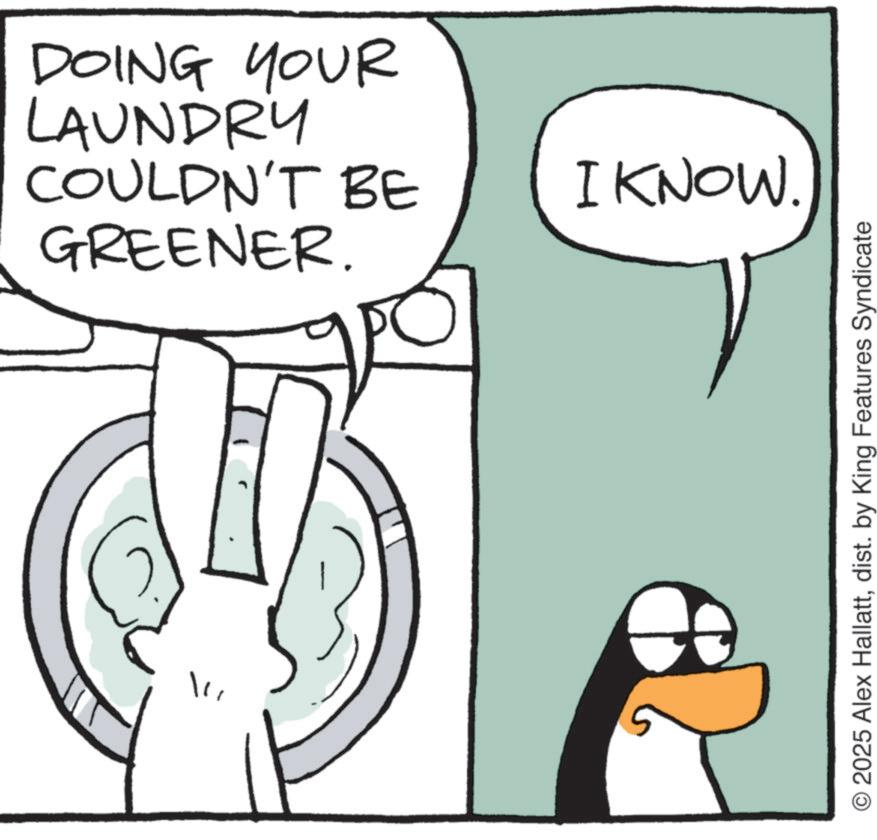 Animated cartoon OCR: ? DOING YOUR LAUNDRY COULDN'T BE GREENER. I KNOW. O2025 Alex Hallattdist. by King Features Syndicate ? DOING YOUR LAUNDRY COULDN'T BE GREENER . I KNOW . O2025 Alex Hallattdist . by King Features Syndicate