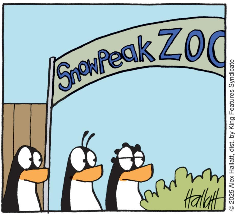 Animated cartoon OCR: Snow Peak ZOO ? Hallatt © 2025 Alex Hallattdist. by King Features Syndicate Snow Peak ZOO ? Hallatt © 2025 Alex Hallattdist . by King Features Syndicate
