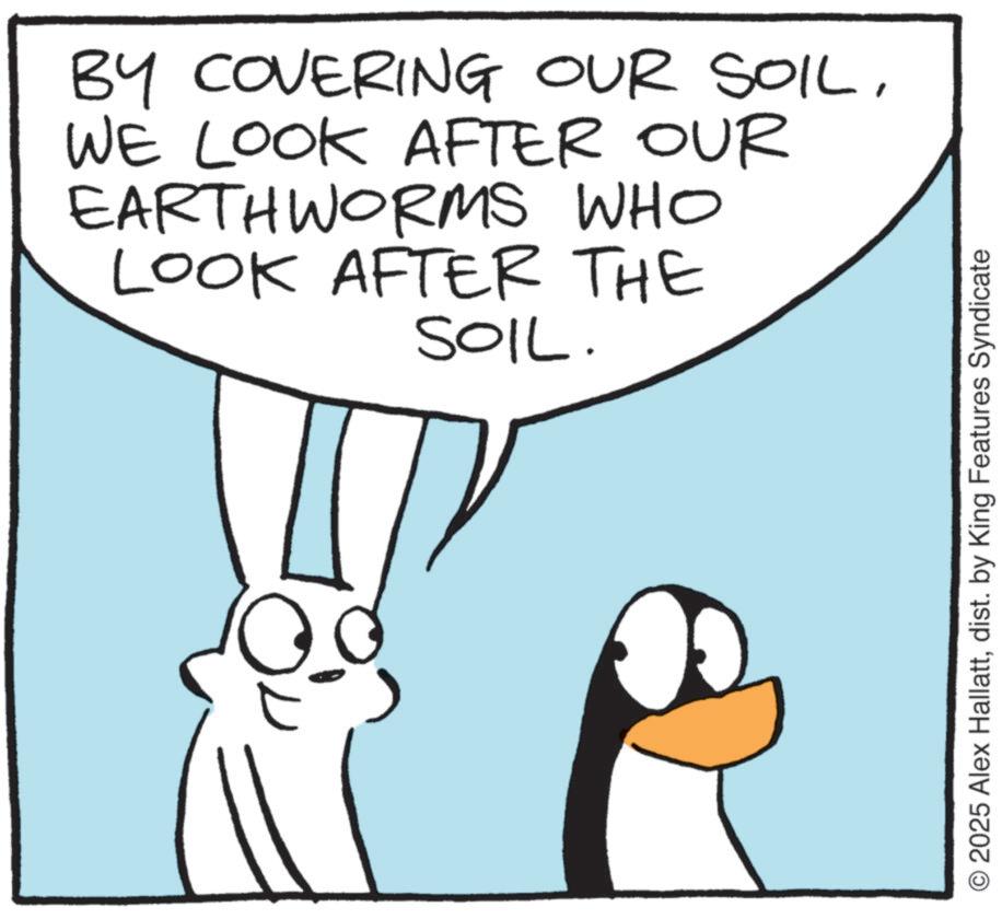 Line art OCR: BY COVERING OUR SOILWE LOOK AFTER OUR EARTHWORMS WHO LOOK AFTER THE SOIL. O2025 Alex Hallattdist. by King Features Syndicate BY COVERING OUR SOILWE LOOK AFTER OUR EARTHWORMS WHO LOOK AFTER THE SOIL . O2025 Alex Hallattdist . by King Features Syndicate