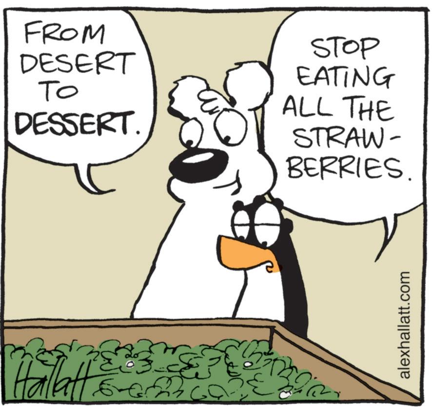 Fiction OCR: Hallatt FROM DESERT To DESSERT. STOP EATING ALL THE STRAW- BERRIES. alexhallatt.com Hallatt FROM DESERT To DESSERT . STOP EATING ALL THE STRAW- BERRIES . alexhallatt.com