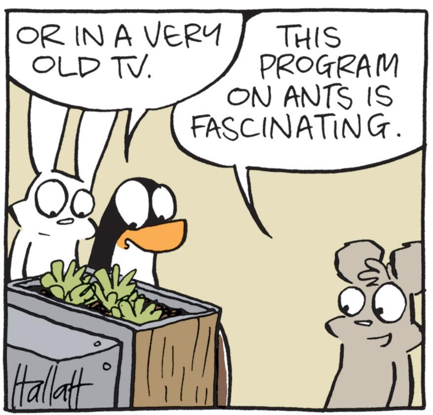 Fiction OCR: OR IN A VERY OLD TV. THIS PROGRAM ON ANTS IS FASCINATING. Hallatt 0 OR IN A VERY OLD TV . THIS PROGRAM ON ANTS IS FASCINATING . Hallatt 0