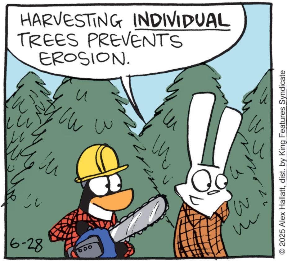 Fictional character OCR: HARVESTING INDIVIDUAL TREES PREVENTS EROSION. 3 27 ? cu w ?? 6-28 600 n ? ? O2025 Alex Hallattdist. by King Features Syndicate HARVESTING INDIVIDUAL TREES PREVENTS EROSION . 3 27 ? cu w ?? 6-28 600 n ? ? O2025 Alex Hallattdist . by King Features Syndicate
