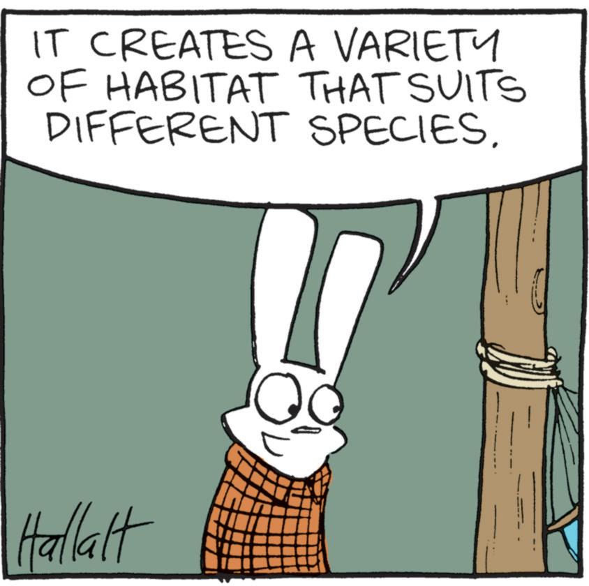 Fictional character OCR: IT CREATES A VARIETY OF HABITAT THAT SUITS DIFFERENT SPECIES. Hallalt IT CREATES A VARIETY OF HABITAT THAT SUITS DIFFERENT SPECIES . Hallalt