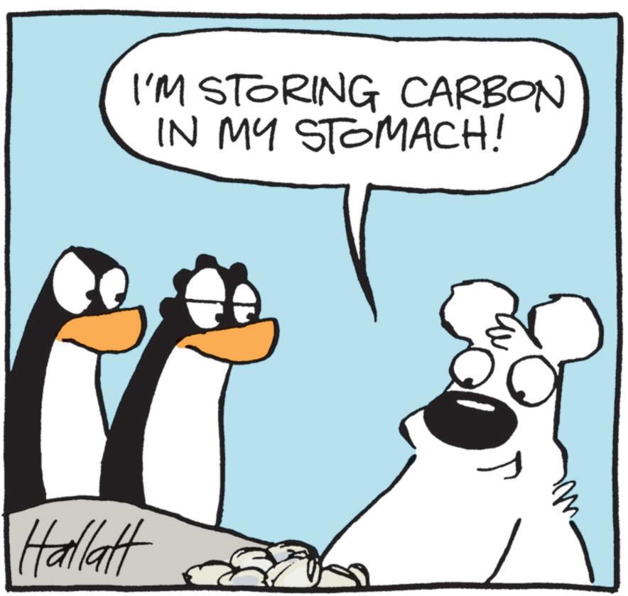 Photo caption OCR: I'M STORING CARBON IN MY STOMACH! 3 Hallatt I'M STORING CARBON IN MY STOMACH ! 3 Hallatt