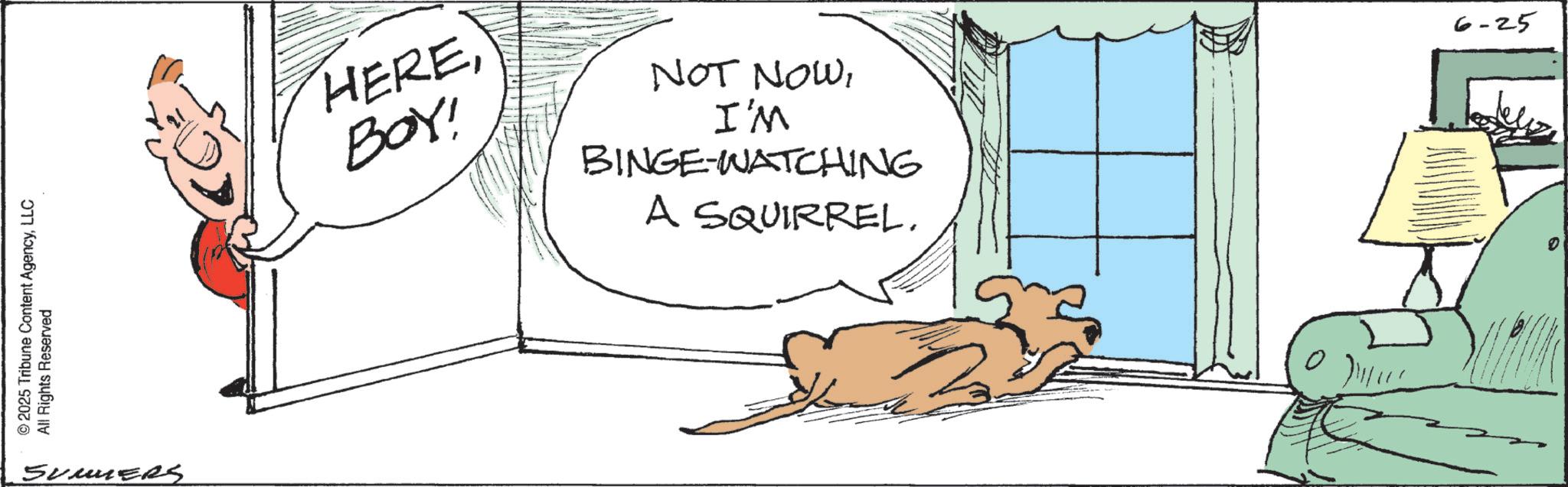 Canidae OCR: © 2025 Tribune Content AgencyLLC All Rights Reserved SummerS HEREBOY! NOT NOWI'M BINGE-WATCHING A SQUIRREL. 6-25 © 2025 Tribune Content AgencyLLC All Rights Reserved SummerS HEREBOY ! NOT NOWI'M BINGE - WATCHING A SQUIRREL . 6-25