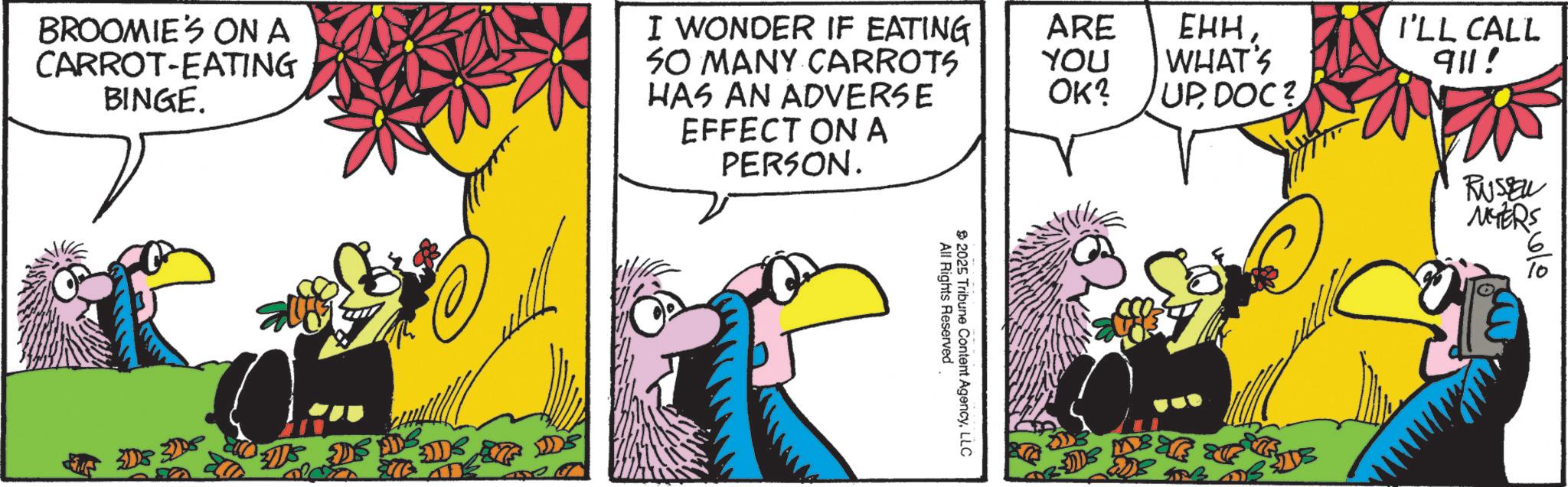 Comics OCR: BROOMIE'S ON A CARROT-EATING BINGE. DS I WONDER IF EATING SO MANY CARROTS HAS AN ADVERSE ARE EHHYOU WHAT'S I'LL CALL 911! OK? UPDOC? EFFECT ON A PERSON. All Rights Reserved 2025 Tribune Content AgencyLLC RUSSELL MYERS BROOMIE'S ON A CARROT - EATING BINGE . DS I WONDER IF EATING SO MANY CARROTS HAS AN ADVERSE ARE EHHYOU WHAT'S I'LL CALL 911 ! OK ? UPDOC ? EFFECT ON A PERSON . All Rights Reserved 2025 Tribune Content AgencyLLC RUSSELL MYERS