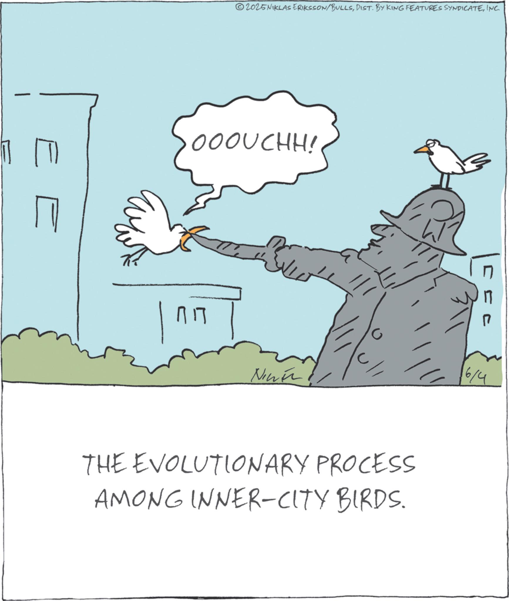 Animation OCR: E 2025NIKLAS ERIKSSON/BULLSINC. OOOUCHH! ?? ? Niner THE EVOLUTIONARY PROCESS AMONG INNER-CITY BIRDS. 6/4 E 2025NIKLAS ERIKSSON / BULLSDIST . BY KING FEATURES SYNDICATEINC . OOOUCHH ! ?? ? Niner THE EVOLUTIONARY PROCESS AMONG INNER - CITY BIRDS . 6/4