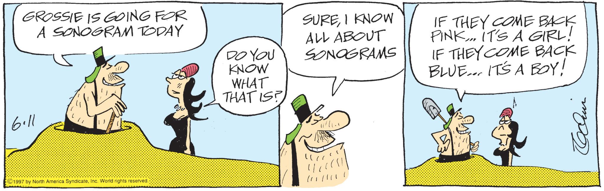 Comics OCR: GROSSIE IS GOING FOR A SONOGRAM TODAY DO YOU KNOW WHAT THAT IS? 6.11 ©1997 by North America SyndicateInc. World rights reserved. SUREI KNOW ALL ABOUT SONOGRAMS IF THEY COME BACK PINK... IT'S A GIRL! IF THEY COME BACK BLUE... IT'S A BOY! GROSSIE IS GOING FOR A SONOGRAM TODAY DO YOU KNOW WHAT THAT IS ? 6.11 © 1997 by North America SyndicateInc. World rights reserved . SUREI KNOW ALL ABOUT SONOGRAMS IF THEY COME BACK PINK ... IT'S A GIRL ! IF THEY COME BACK BLUE ... IT'S A BOY !