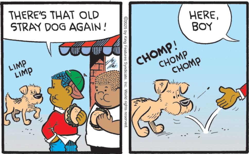Publication OCR: THERE'S THAT OLD STRAY DOG AGAIN! LIMP LIMP 2 m ©2025 by King Features SyndicateInc. World rights reserved. CHOMP! CHOMP CHOMP HEREBOY THERE'S THAT OLD STRAY DOG AGAIN ! LIMP LIMP 2 m © 2025 by King Features SyndicateInc. World rights reserved . CHOMP ! CHOMP CHOMP HERE