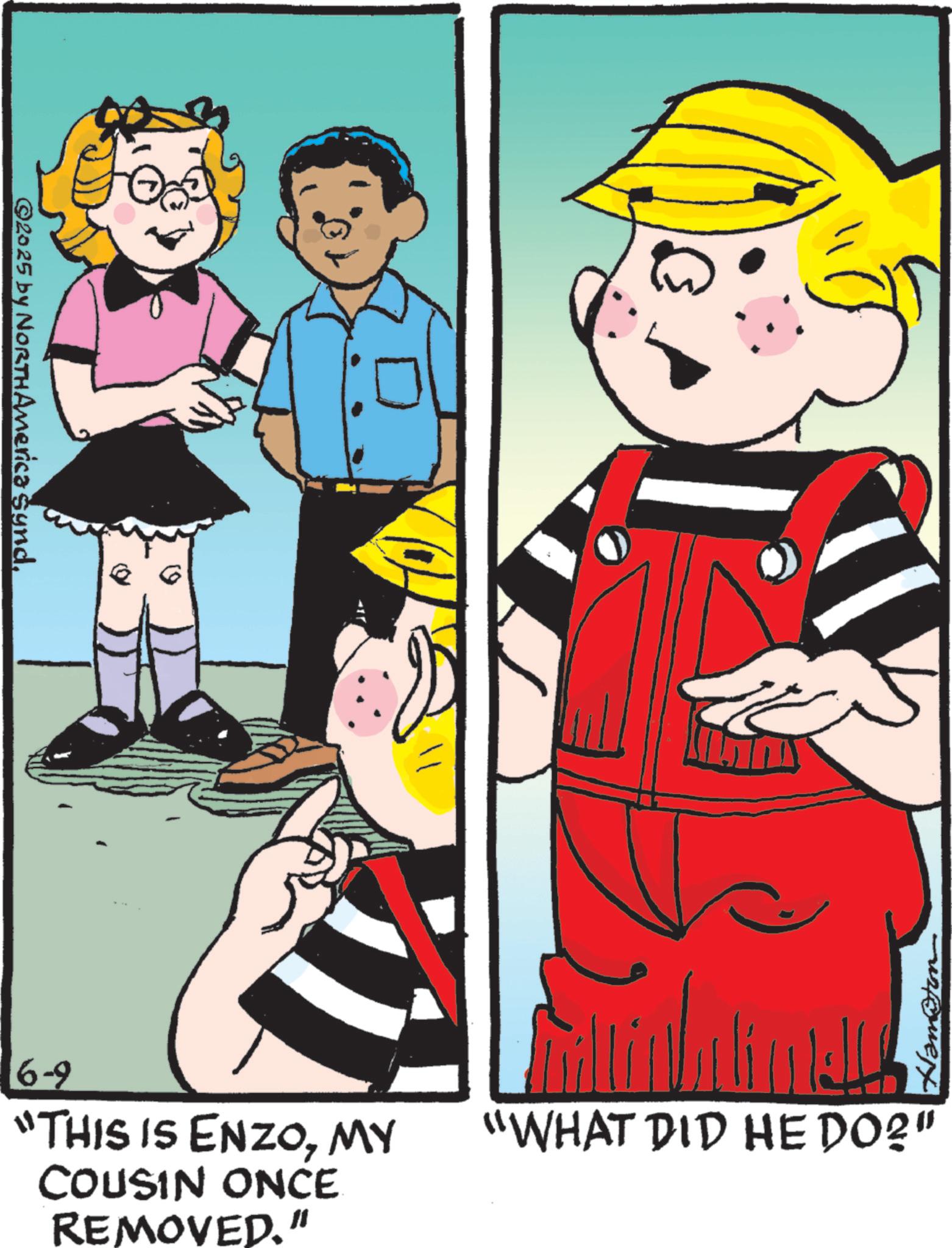Comic book OCR: ©2025 by NORTH America Synd. ° "WHAT DID HE DO?" 6-9 "THIS IS ENZOMY COUSIN ONCE REMOVED." © 2025 by NORTH America Synd . ° " WHAT DID HE DO ? " 6-9 " THIS IS ENZOMY COUSIN ONCE REMOVED . "