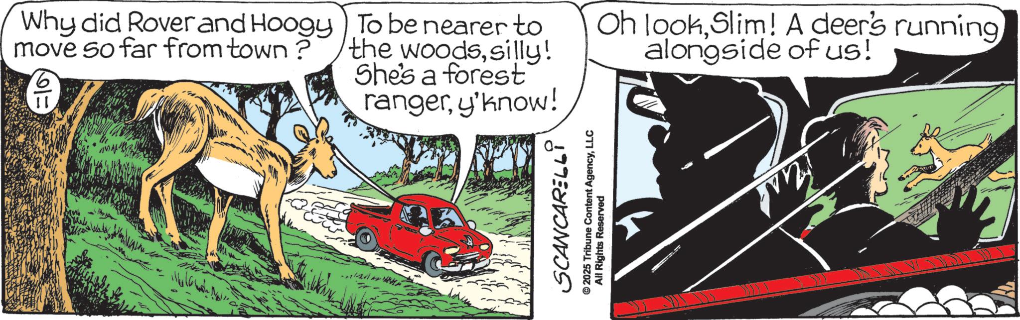 Canidae OCR: Why did Rover and Hoogy move so far from town? To be nearer to the woodssilly! She's a forest rangery'know! Oh lookSlim! A deer's running alongside of us! SCANCARELLI © 2025 Tribune Content AgencyLLC All Rights Reserved Why did Rover and Hoogy move so far from town ? To be nearer to the woodssilly ! She's a forest rangery'know ! Oh lookSlim ! A deer's running alongside of us ! SCANCARELLI © 2025 Tribune Content AgencyLLC All Rights Reserved