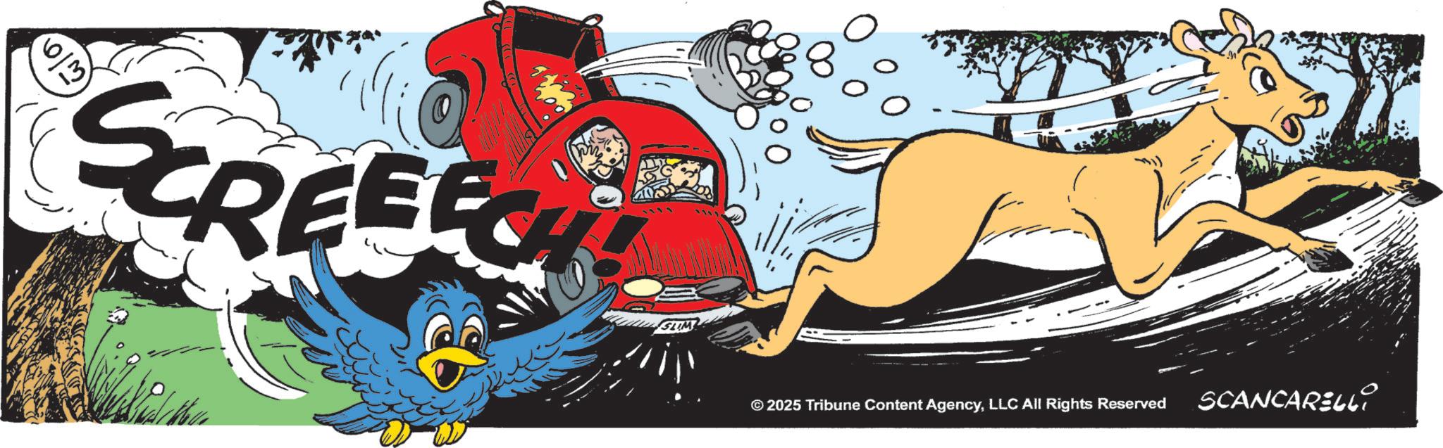 Kit car OCR: 6/3 SCREEECH SLIM © 2025 Tribune Content AgencyLLC All Rights Reserved SCANCARELLY 6/3 SCREEECH SLIM © 2025 Tribune Content AgencyLLC All Rights Reserved SCANCARELLY