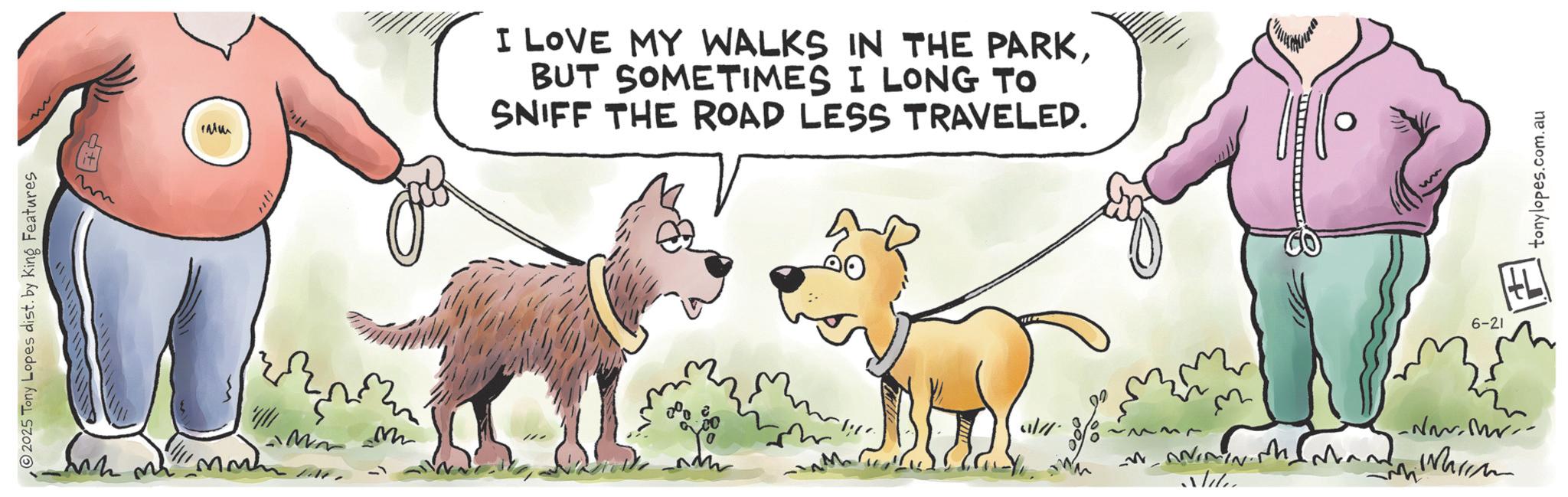 Graphics OCR: 2025 Tony Lopes dist. by King Features M den d I LOVE MY WALKS IN THE PARKBUT SOMETIMES I LONG TO SNIFF THE ROAD LESS TRAVELED. 11/17. M M -~-~ 6-21 www. Nile -New Mr Waren tonylopes.com.au 2025 Tony Lopes dist . by King Features M den d I LOVE MY WALKS IN THE PARKBUT SOMETIMES I LONG TO SNIFF THE ROAD LESS TRAVELED . 11/17 . M M - ~ - ~ 6-21 www . Nile -New Mr Waren tonylopes.com.au