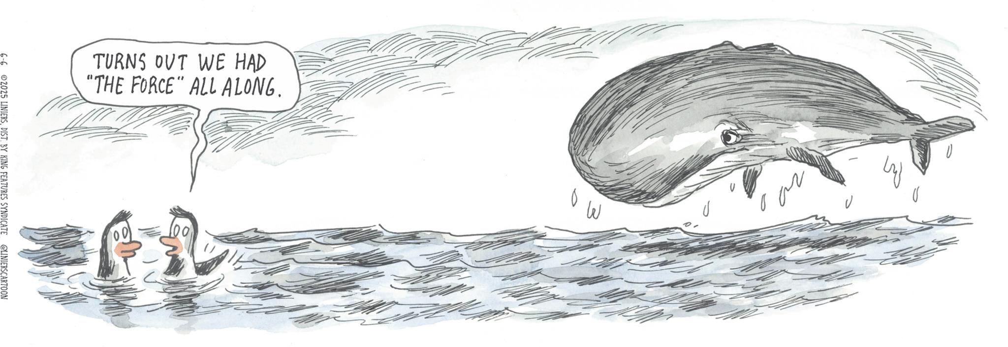 Marine biology OCR: TURNS OUT WE HAD "THE FORCE" ALL ALONG. 100 M ?? 6-6 2025 LINIERSDIST. BY KING FEATURES SYNDICATE @LINIERSCARTOON TURNS OUT WE HAD " THE FORCE " ALL ALONG . 100 M ?? 6-6 2025 LINIERSDIST . BY KING FEATURES SYNDICATE @LINIERSCARTOON