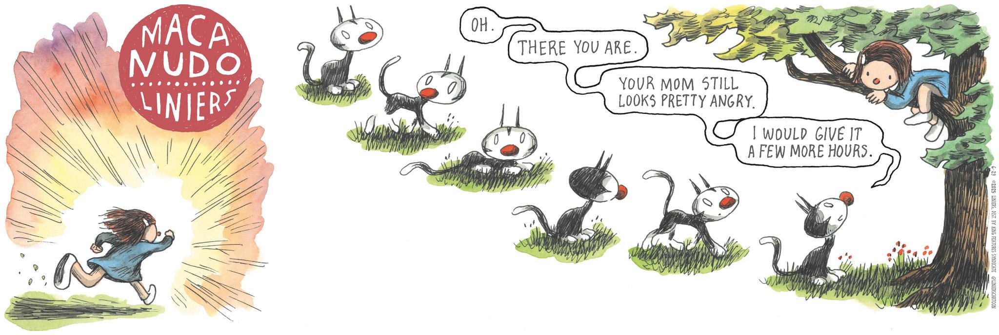 Comics OCR: MACA NUDO LINIERS OH. THERE YOU ARE. YOUR MOM STILL LOOKS PRETTY ANGRY. I WOULD GIVE IT A FEW MORE HOURS. 2025 LINIERSDIST. BY KING FEATURES SYNDICATE LINIERSCH MACA NUDO LINIERS OH . THERE YOU ARE . YOUR MOM STILL LOOKS PRETTY ANGRY . I WOULD GIVE IT A FEW MORE HOURS . 2025 LINIERSDIST . BY KING FEATURES SYNDICATE LINIERSCH