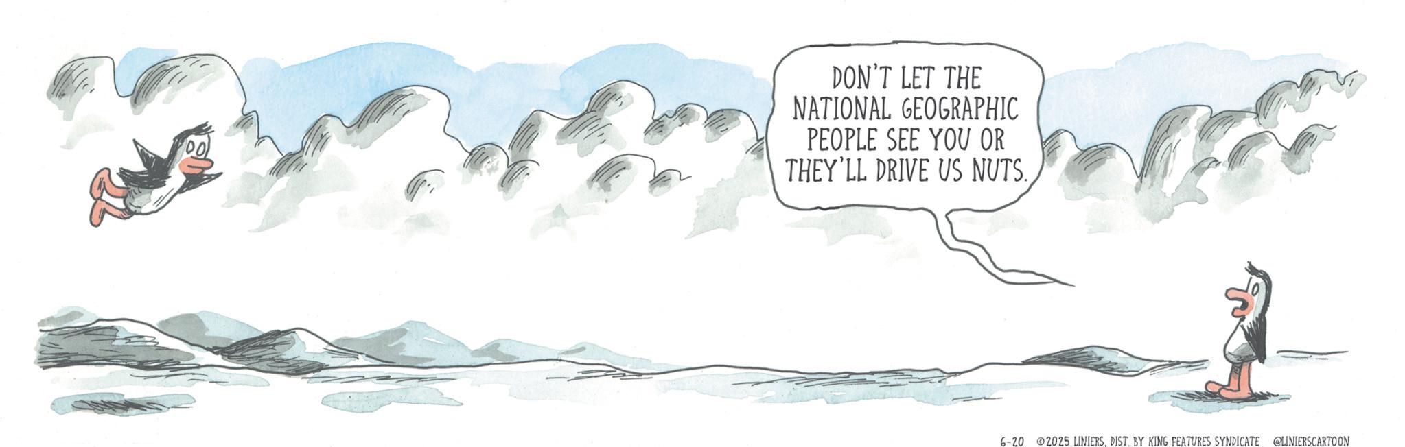 Animation OCR: DON'T LET THE NATIONAL GEOGRAPHIC PEOPLE SEE YOU OR THEY'LL DRIVE US NUTS. 6-20 2025 LINIERSDIST. BY KING FEATURES SYNDICATE @LINIERS CARTOON DON'T LET THE NATIONAL GEOGRAPHIC PEOPLE SEE YOU OR THEY'LL DRIVE US NUTS . 6-20 2025 LINIERSDIST . BY KING FEATURES SYNDICATE @LINIERS CARTOON